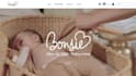 design wix ecommerce store, wix website or dropshipping store