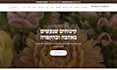audit your hebrew website for rtl bugs and untranslated text