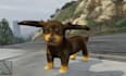 make gta 5 ped, fivem ped, props, animal ped, modifications