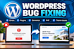 wordpress errors, bugs, and website issues