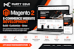 develop a professional magento 2 ecommerce website