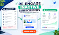 create a re engagement email campaign to win back inactive subscribers