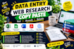 do professional data entry, copy past,web research work