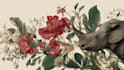 draw an animal and botanical illustration