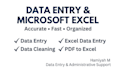 do accurate data entry and microsoft excel tasks