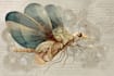 draw a scientific illustration