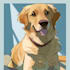 draw a custom digital pet portrait from photo