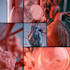 draw professional medical illustrations