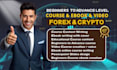 create forex crypto trading course, ebook writing, video course, online course