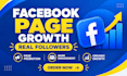 boost your facebook page followers quickly