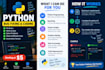 fix python bugs, solve coding problems and write python script