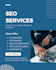 do professional SEO for your website