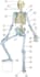 create publication ready scientific figures for journals