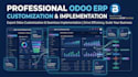do custom erp development, customization and integration