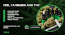 be your ads consultant for diffucult ads, peptides, cbd, kratom fix meta ads