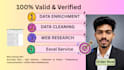 do data enrichment, data cleaning, web research and lead generation