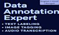 be your audio alignment and data annotation specialist