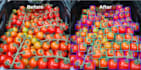detect object using yolo opencv in python