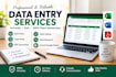 do accurate data entry, copy paste web research