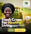 be your virtual assistant and graphics designer