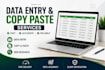 do accurate data entry and copy paste tasks