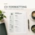 format and redesign your CV or resume professionally