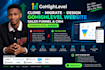 clone, migrate, design gohighlevel website ghl sales funnel go highlevel expert