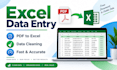 excel data entry and PDF to excel conversion