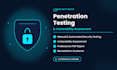 penetration testing and vulnerability assessment for web