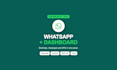 build a custom dashboard and API automations for your business