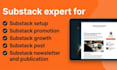 do substack setup substack promotion substack growth substack newsletter post