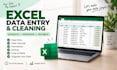 do excel data entry and data cleaning