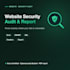 do a professional website security audit