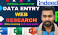 do data collection, data entry and web research in excel 24