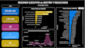 create professional dashboards and reports