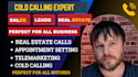do cold calling b2b telemarketing appointment setting and real estate calls