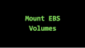 mount ebs volumes and configure persistent storage