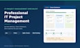 professionally manage and coordinate your IT project