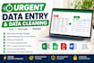 do urgent data entry and data cleaning