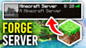 develop your minecraft server, plugins, forge for your spigot or paper server