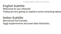add professional subtitles videos
