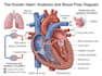 design medical and scientific illustration