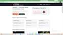 do web devolpments managments seo adn web monitizations
