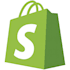 perform a complete shopify SEO audit