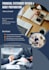 provide financial preparation and consultancy