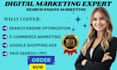 setup google shopping feed optimization SEO ads campaign product listing audit