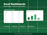 excel dashboard and data analysis expert