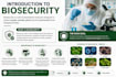 do data entry, web research and content writing