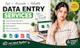 do accurate data entry copy past and web research