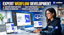 develop a professional webflow website and figma to webflow